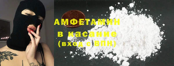 стаф Аркадак