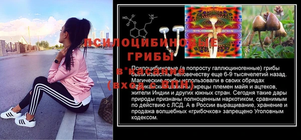 таблы Армянск