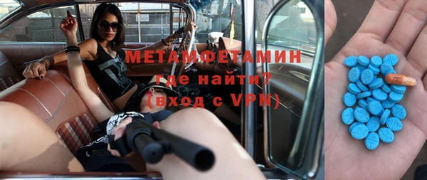 стаф Аркадак